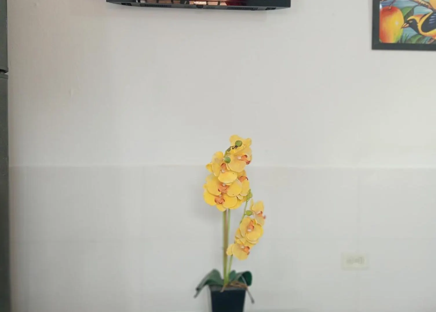 Apartment Le Petit Cartagena, Apartamento