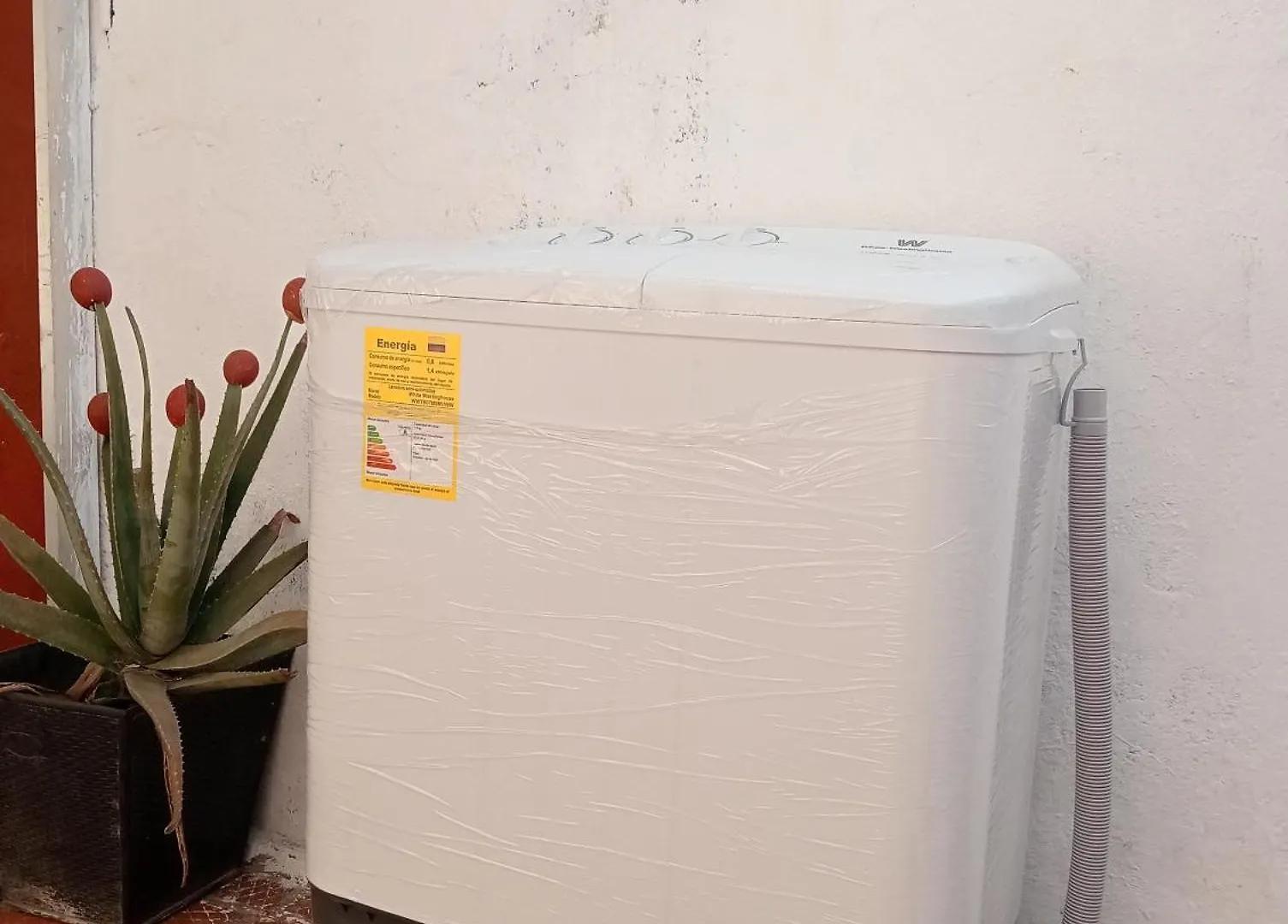 Le Petit Cartagena, Apartamento